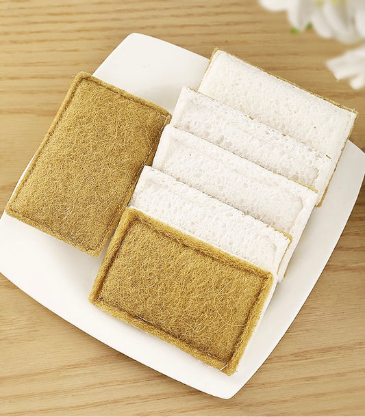 Sponge for Kitchen
