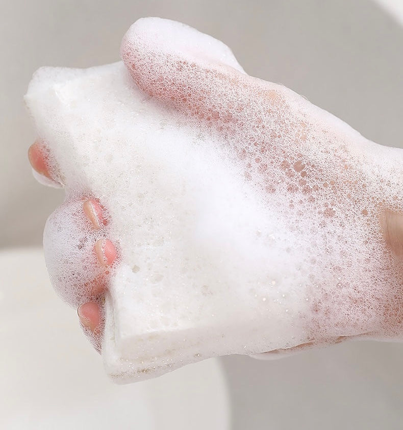 Sponge for Kitchen