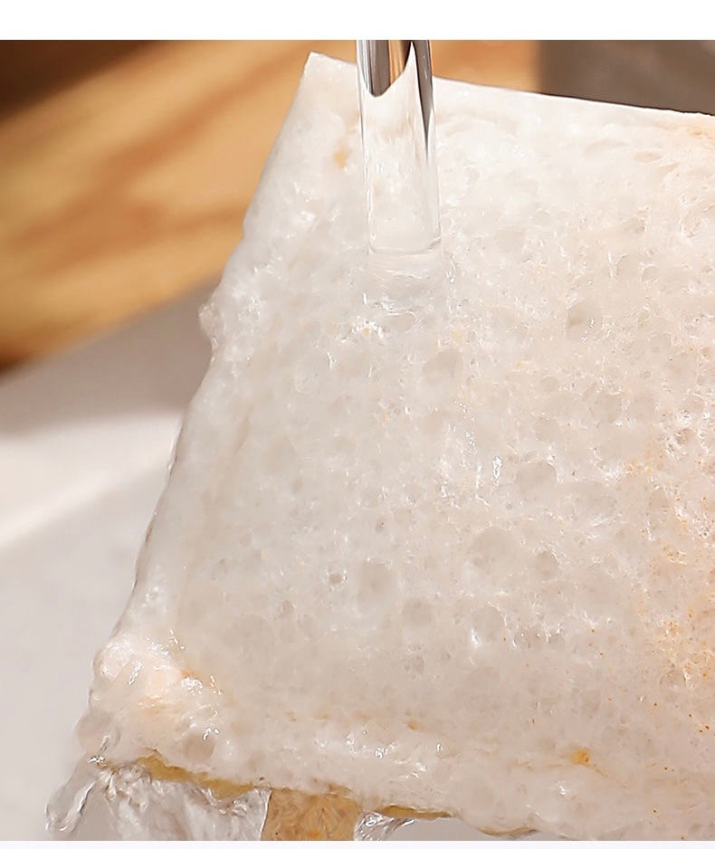 Sponge for Kitchen