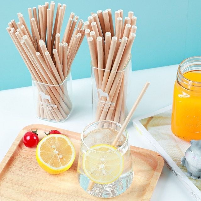 Paper Straws